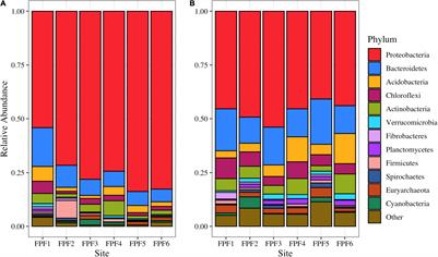 Nutrient Inputs Stimulate Mercury Methylation by Syntrophs in a Subarctic Peatland